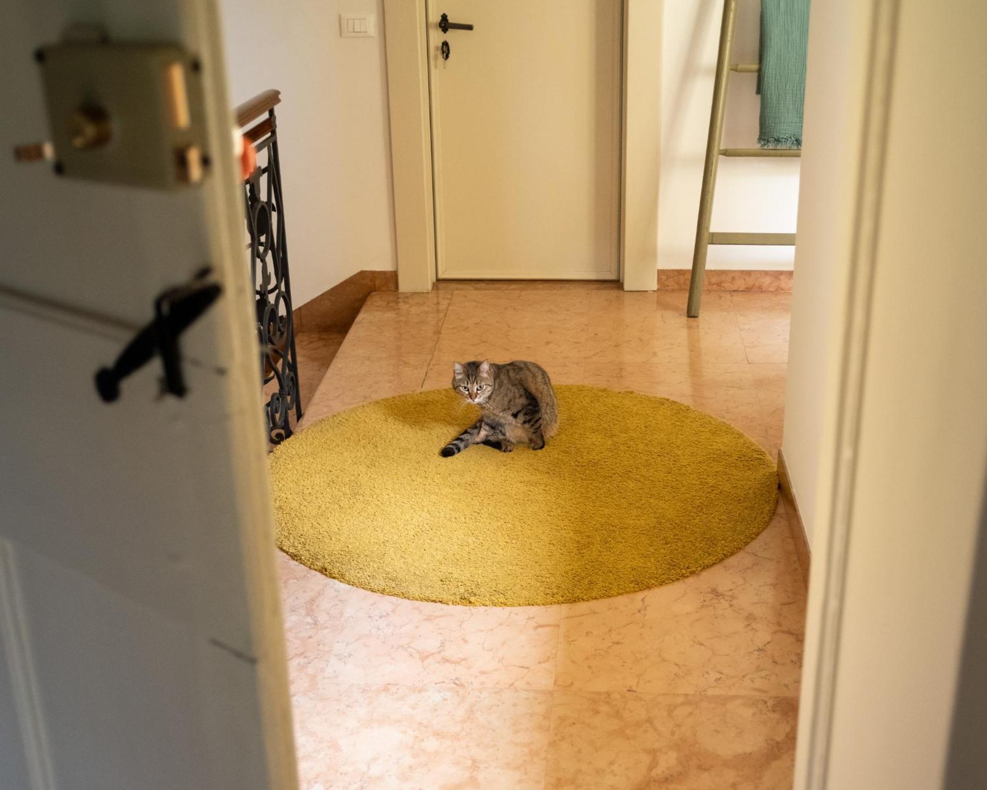 Le 33 Bed & Breakfast Bassano del Grappa Eksteriør bilde
